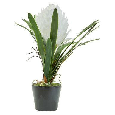 Fiori white tropical artificial hyacinth plant with white flowers in a sleek black pot perfect for indoor decor