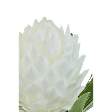 A fiori white tropical plant featuring a pristine white artificial protea flower in a sleek black pot