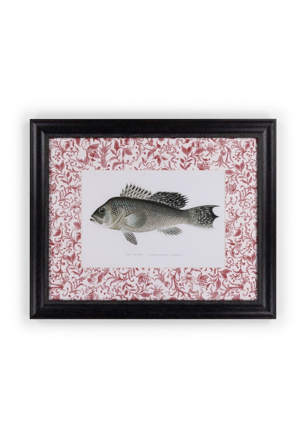 Black-framed fish iii print with detailed grayscale fish illustration on pink floral background for english home