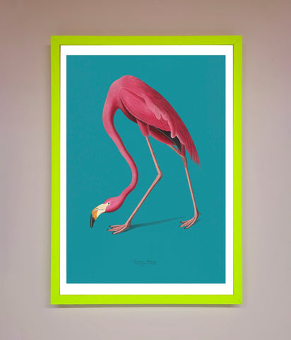 Flamingo Walks Blue Framed Print