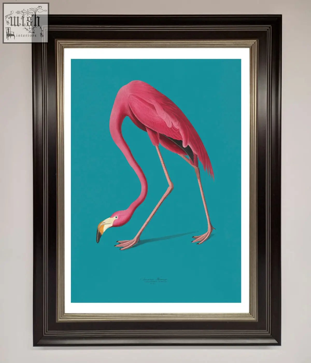 A vibrant pink flamingo walks blue framed print with a dark brown frame and gold trim on a teal background