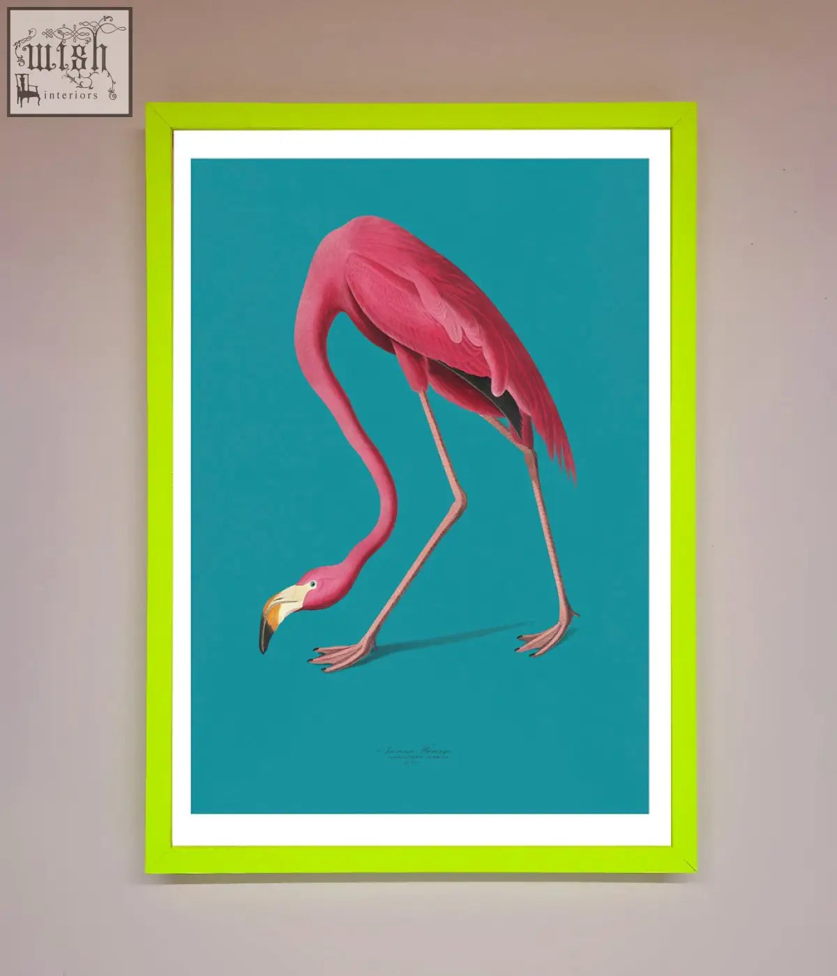 A vibrant pink flamingo illustration in a bold lime green frame with teal background in flamingo walks blue framed print