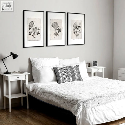 Three black framed french country botanical floral prints featuring beige and grey chrysanthemum illustrations above bed