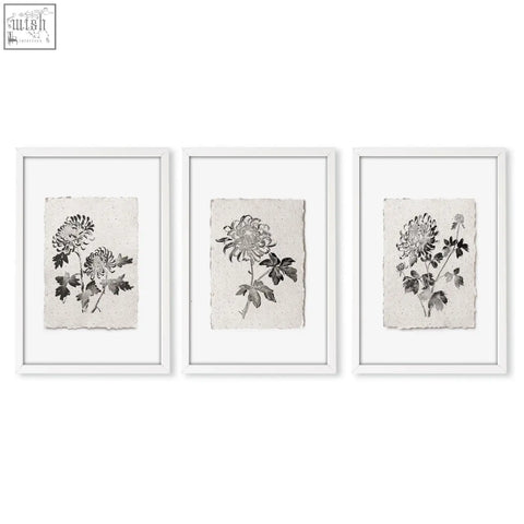 Set of three french country floral print chrysanthemum botanical beige and grey wall art in minimalist white frames