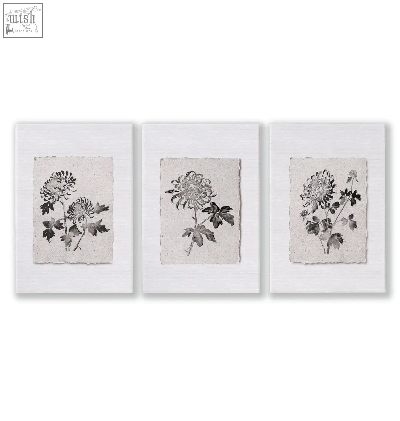 Set of 3 french country botanical floral print wall art featuring beige and grey chrysanthemum illustrations on textured paper