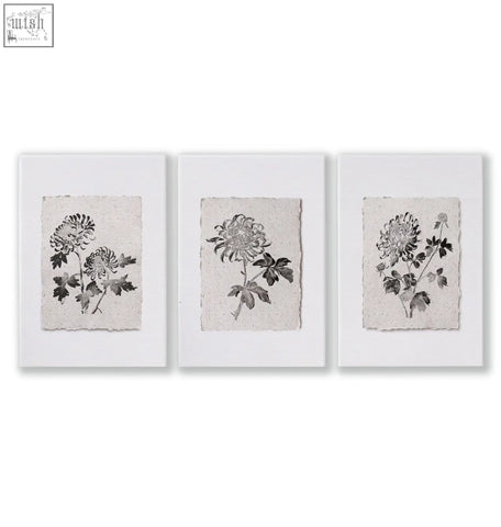 Set of 3 french country botanical floral print wall art featuring beige and grey chrysanthemum illustrations on textured paper