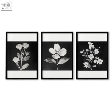 Set of three black-framed floral wall art prints with monochrome charcoal botanical illustrations on dark backgrounds