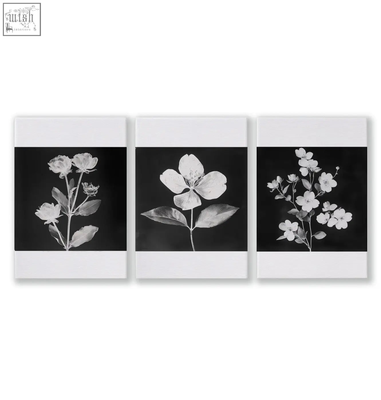 Set of three black and white floral wall art canvas prints with delicate blossoms and white borders for stylish decor