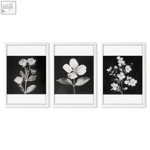 Set of three framed black and white floral wall art prints in minimalist white frames for stylish wall decor