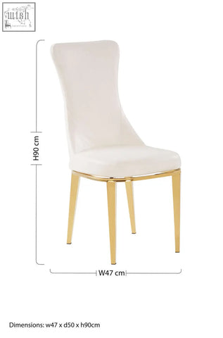 Forli white dining chair with elegant white upholstery and slender gold finish stainless steel legs