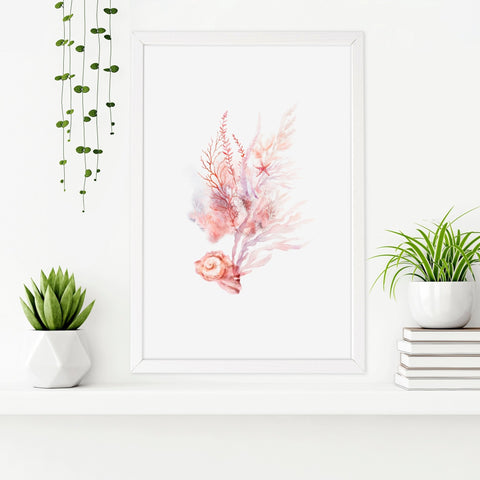 Framed Pictures For The Bathroom | Set of 3 Seashells Wall art Prints