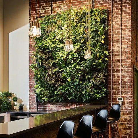 Lush green living wall with diverse leafy plants on brick featuring frameless plant cassette table system