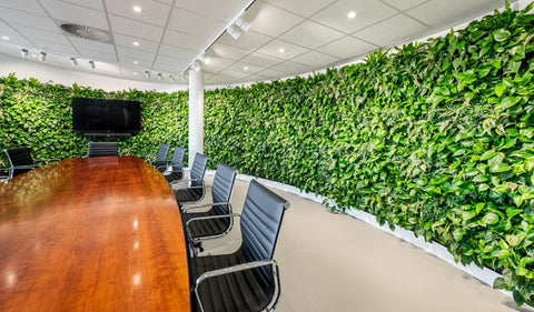 Lush green living wall with dense heart-shaped leaves in frameless living wall system using plant cassette table