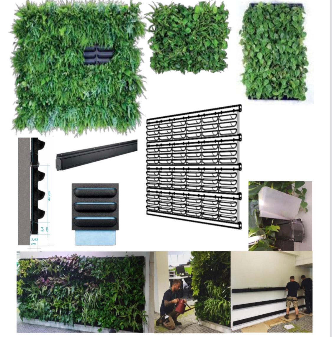 Green artificial foliage panels from frameless living wall system for creating a vibrant living wall with plant cassette use