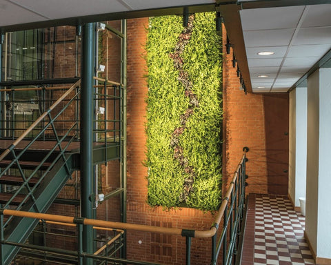Lush green living wall with dense foliage and purple flowers using plant cassette table on brick wall