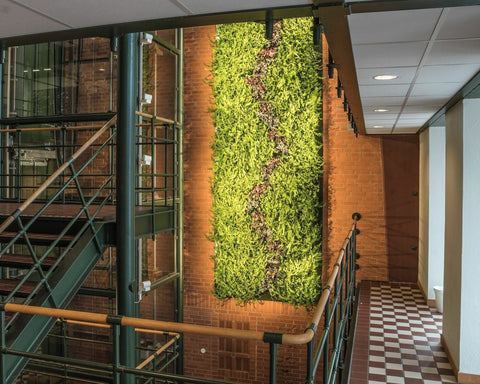 A vibrant green frameless living wall system with dense foliage and a winding path of darker plants using plant cassette table