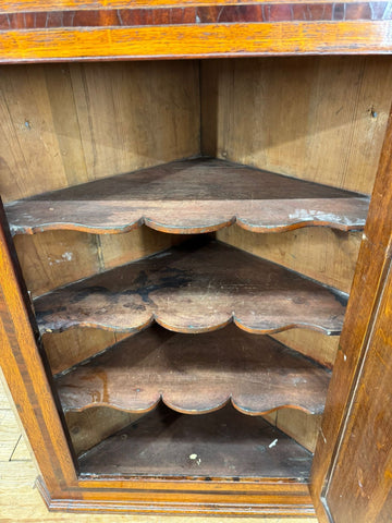 Antique georgian oak corner cupboard with scalloped shelves and polished amber finish for hall storage