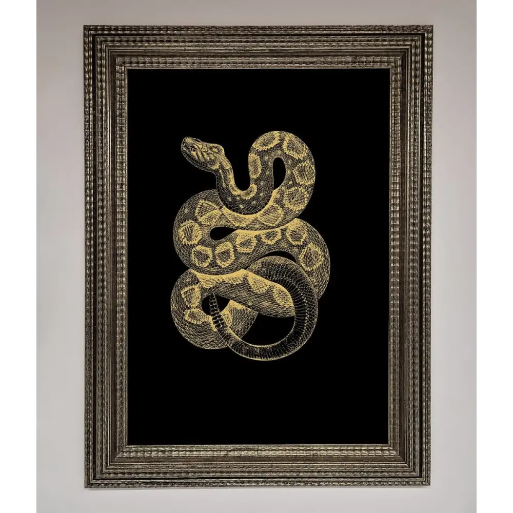 Golden Serpent Framed Wall Art - A3 (29.7 x 42 cm) / Ornate Silver - Framed Print