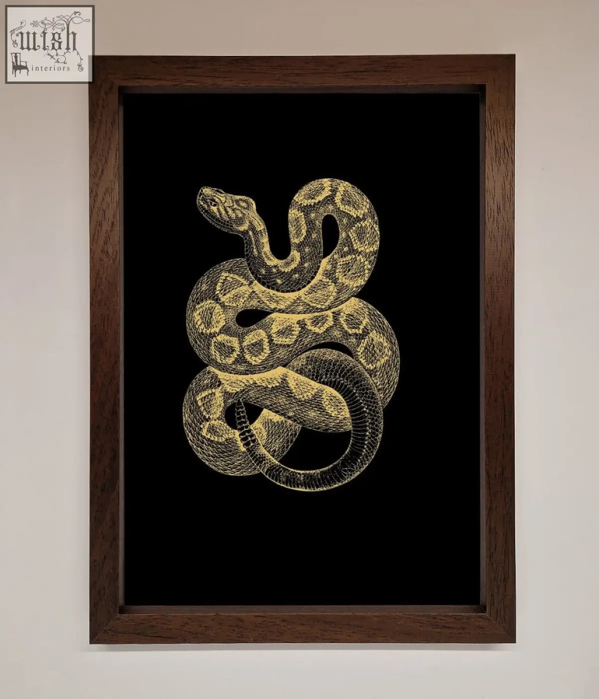 Golden serpent framed wall art featuring a detailed gold inked coiled snake illustration on black paper in dark wood frame