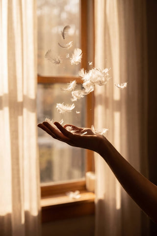 A hand gently holding soft white goose feathers in warm sunlight for a cozy goose feather and down duvet
