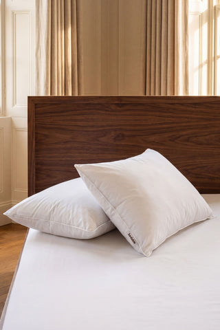 White goose feather and down pillow with subtle texture and minimalist design for comfortable sleep