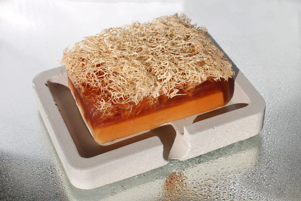 Orange translucent soap bar with loofah fibers in a gray concrete soap holder on a white ceramic dish