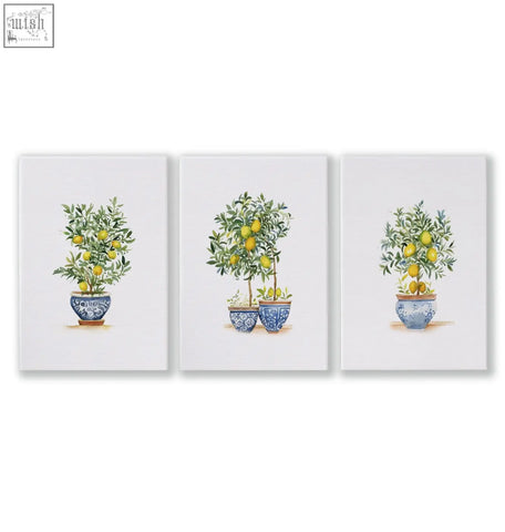 Set of 3 green wall art prints featuring lemon tree watercolor illustrations in blue and white ceramic pots