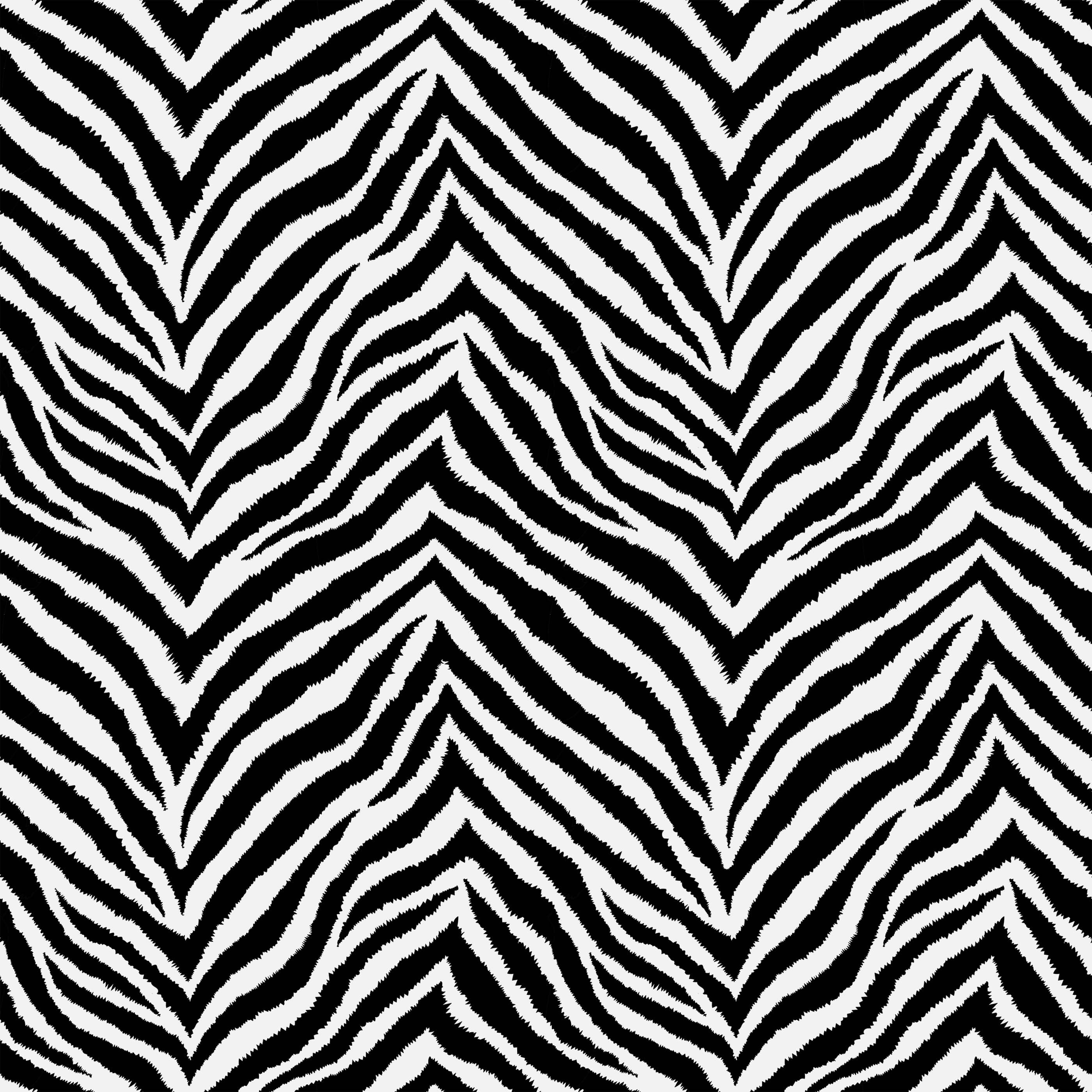 Hakambo black and white zebra print wallpaper with textured brushstroke effect perfect for stylish walls