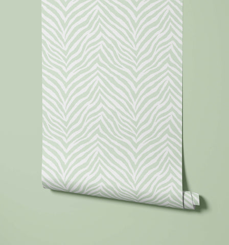 A roll of hakambo print wallpaper with bold white zebra print on light green for stylish room decor