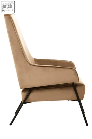 Beige henia mink velvet chair with sleek black metal legs stylish and comfy mink velvet armchair
