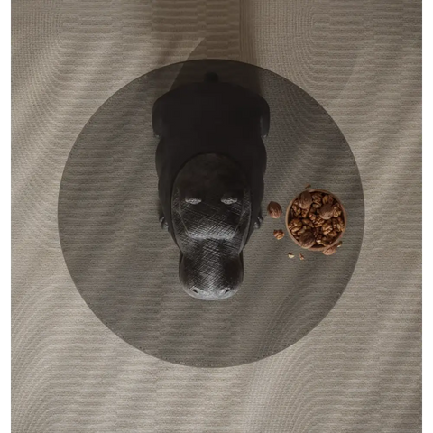 Hippo Coffee Table Side Table Glass
