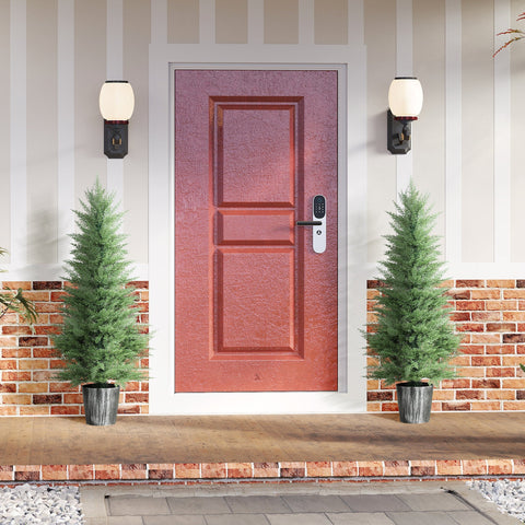 A reddish-brown front door with white trim next to green artificial cypress trees set in decorative pots for indoor outdoor decor