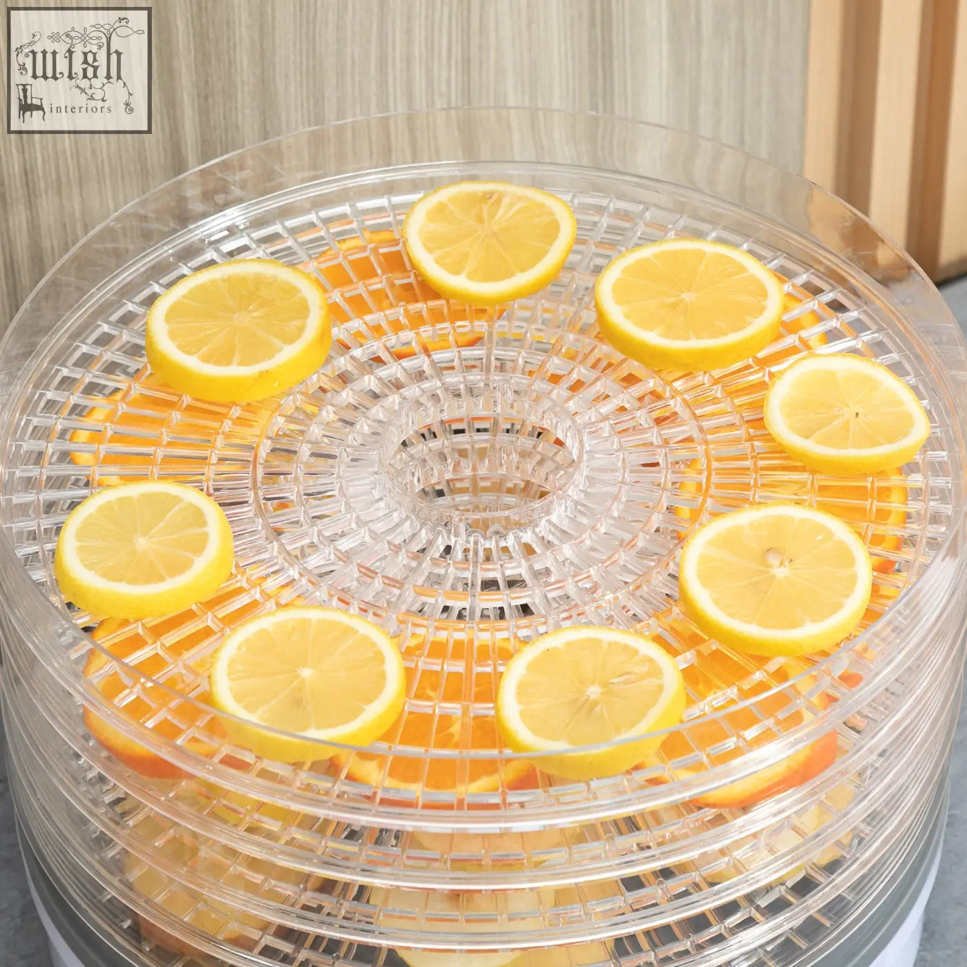 Clear plastic homcom food dehydrator with five stacking trays and adjustable temperature holding sliced lemons and oranges