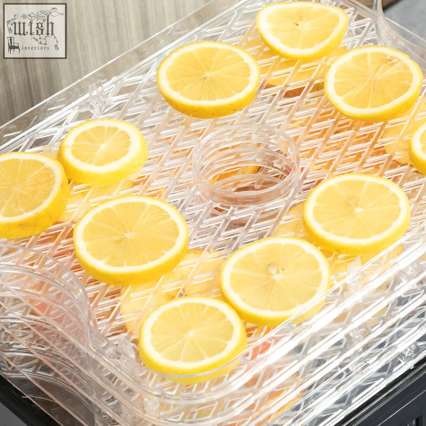 Clear plastic tray with sliced lemons in homcom black stainless steel food dehydrator with lcd display