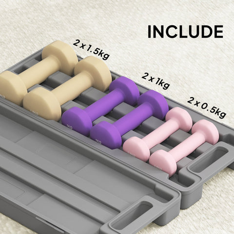 Set of four colorful foam-handled dumbbells in beige purple and pink with easy-to-read numbers in gray case
