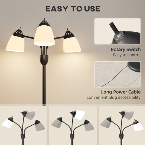 Black metal floor lamp with three frosted glass shades and rotary switch featuring 3000k 4500k 6500k light options