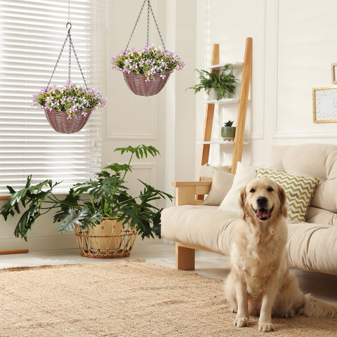 Golden retriever sitting on beige rug near light sofa with homcom artificial purple flowers in basket and artificial hanging leaves