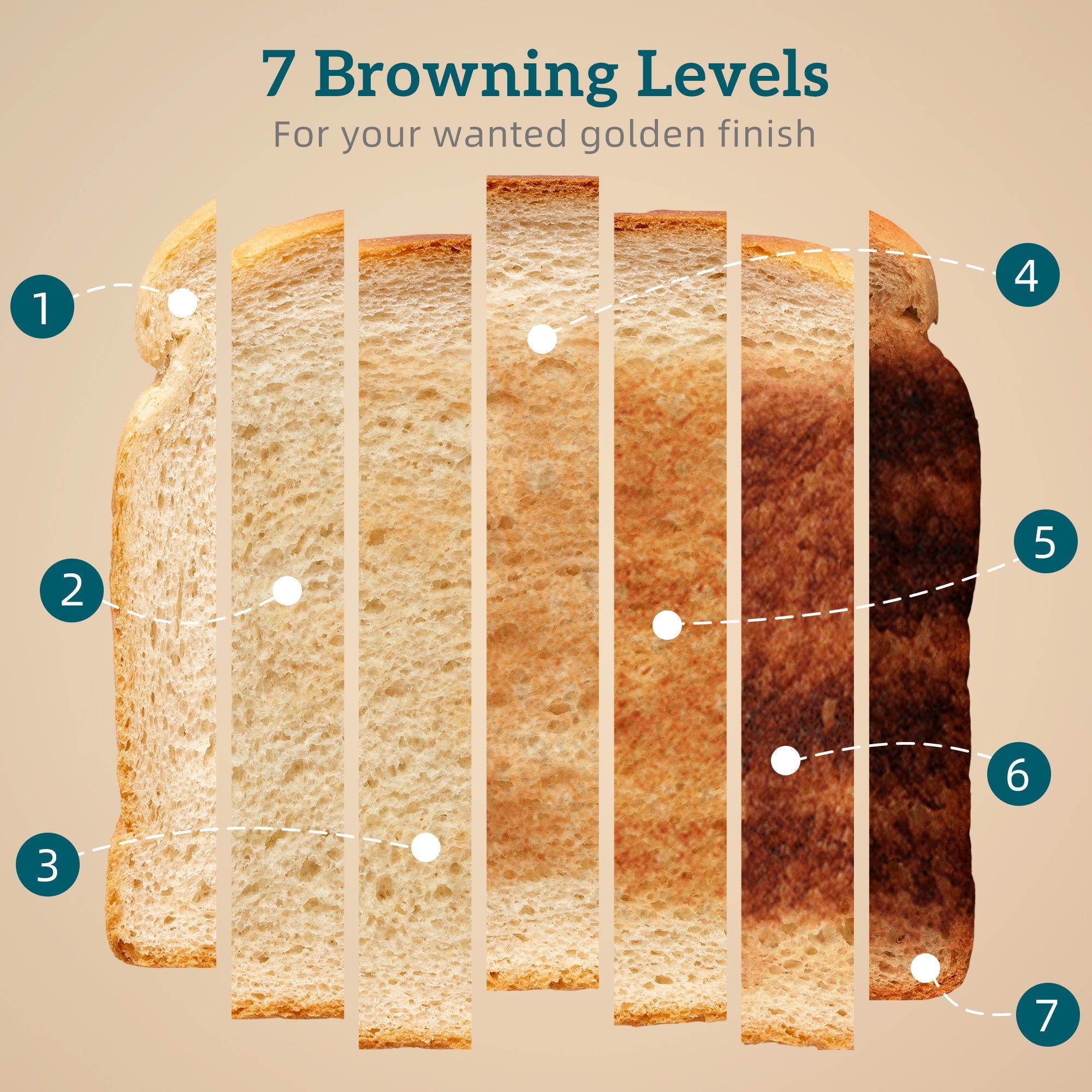 Seven toast slices showing browning levels from 1 to 7 on a dark blue homcom stainless steel toaster set with strix thermostat
