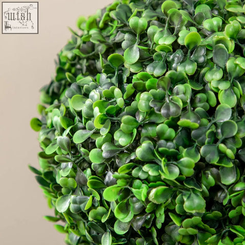 Lush green boxwood trees in cement-filled pots perfect for indoor and outdoor decor by HOMCOM