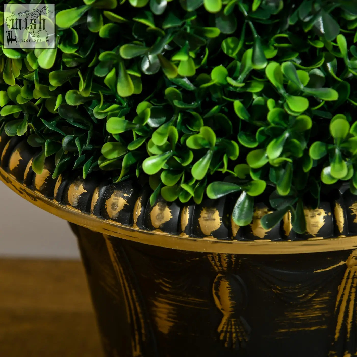 Lush green spiral boxwood tree in black and gold decorative planter perfect for indoor and outdoor decor