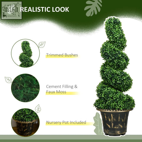 A tall green spiral boxwood tree with dense foliage in a textured dark brown nursery pot for indoor outdoor decor