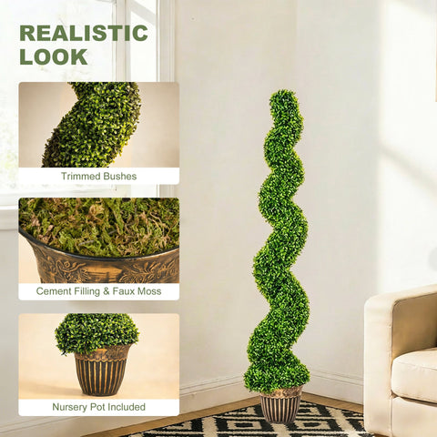 A tall green spiral boxwood tree with dense foliage in a dark brown ornate nursery pot for indoor outdoor decor