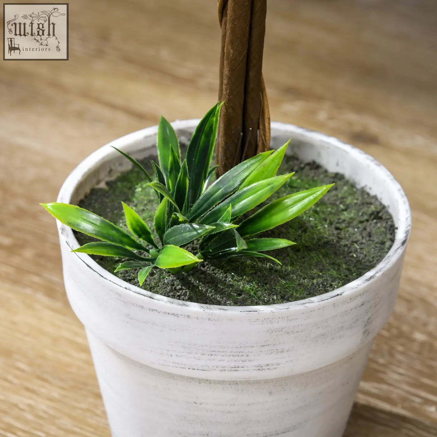 White distressed ceramic pot with low maintenance artificial ball-shape tree featuring slender green leaves and brown twisted stem