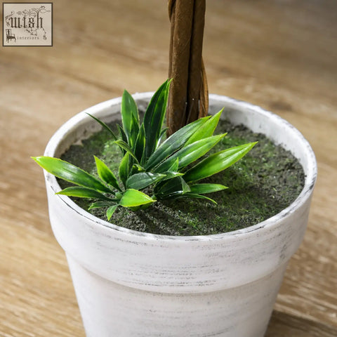 White distressed ceramic pot with low maintenance artificial ball-shape tree featuring slender green leaves and brown twisted stem
