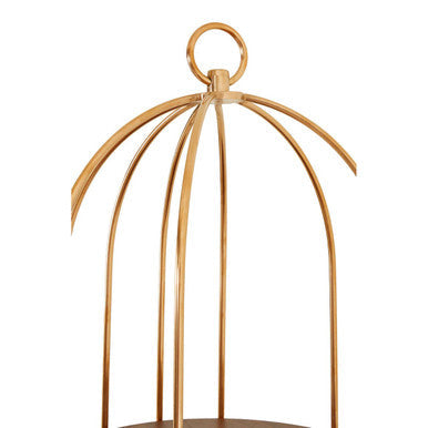 Gold-colored metal small cage design with circular handle and curved bars in horizon 3 tier cage design shelf unit