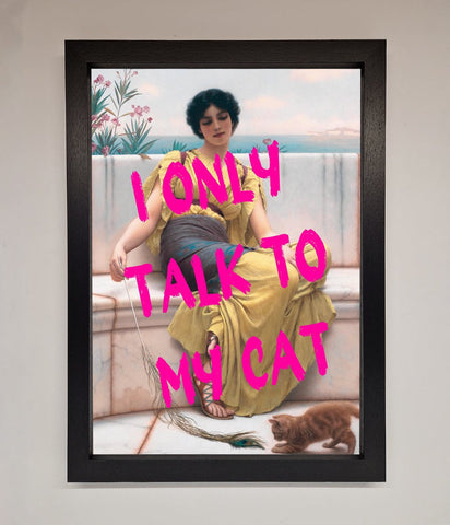 I Only Talk To My Cat Framed Wall Art
