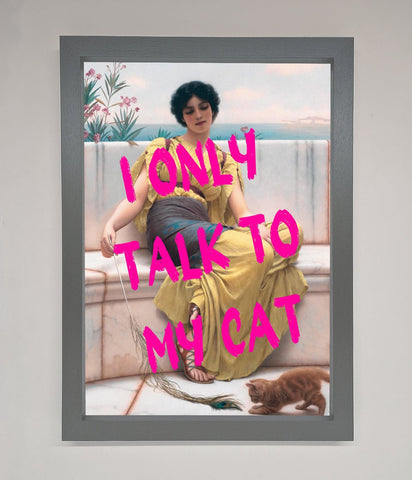 I Only Talk To My Cat Framed Wall Art