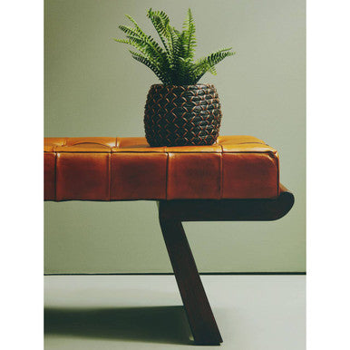 A dark brown woven pot with green fern beside an inca brown leather bench with wooden angular base seating solution
