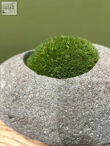 A round gray indo riverstone planter with a smooth speckled surface planted with vibrant preserved moss