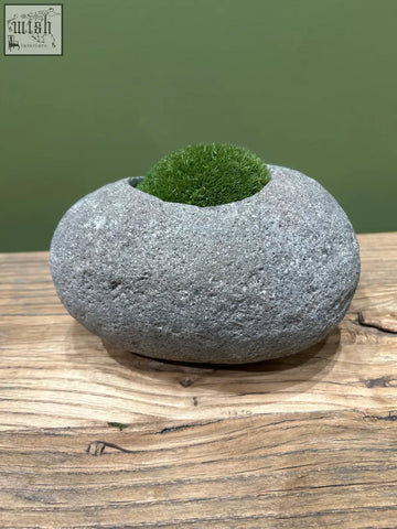 A smooth gray indo riverstone planter holds vibrant preserved moss with a rounded natural texture